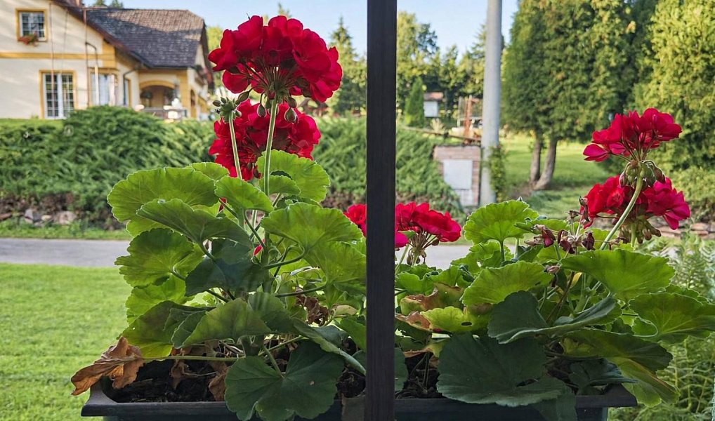 Pronájem domu 109 m² s pozemkem 660 m², Dolní Kalná – náhled fotky 5