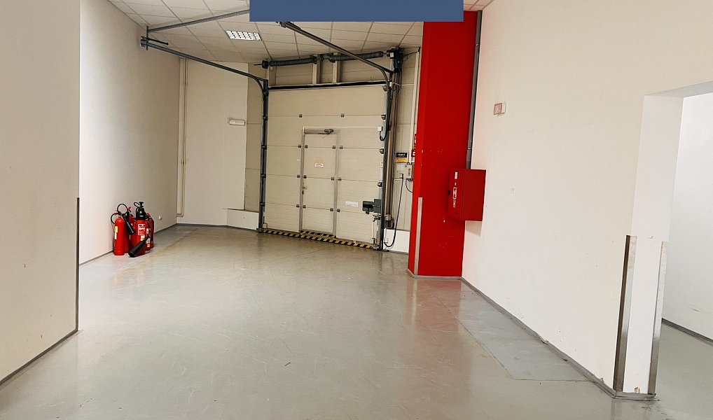Pronájem obchodních prostor 1 290 m², Průhonice – náhled fotky 20
