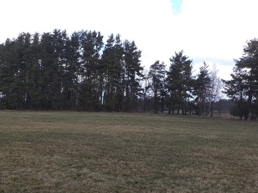 Dražba louky 552 m²