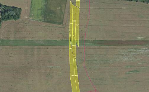 Prodej pole 8 073 m², Osvětimany, okres Uherské Hradiště