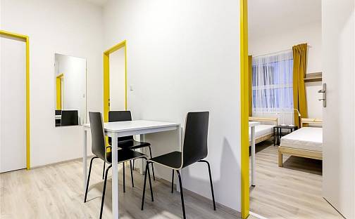 Pronájem bytu 2+1 34 m², Václavská, Brno - Staré Brno