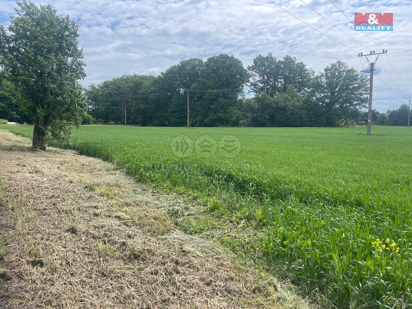 Prodej stavebního pozemku 6 339 m² – fotografie 5