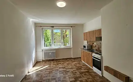 Pronájem bytu 1+kk 22 m², Mladé gardy, Most