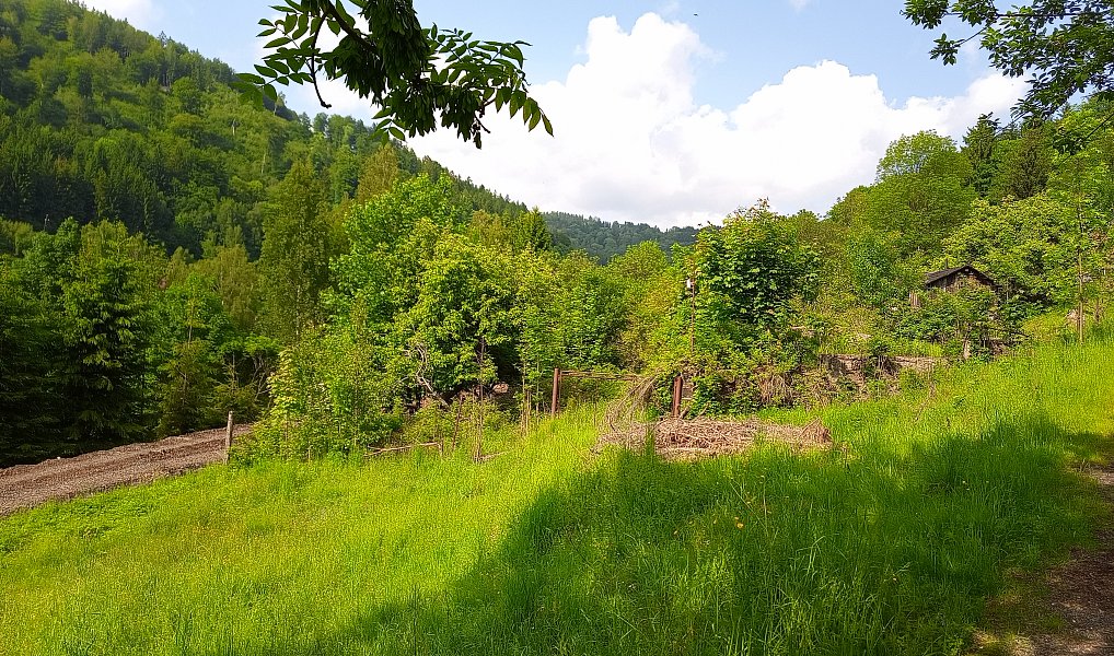 Prodej stavebního pozemku 2 111 m², Desná – náhled fotky 4