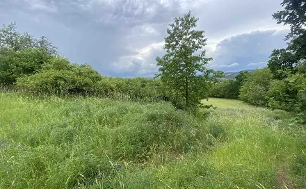 Prodej pole 10 485 m², Řehlovice, okres Ústí nad Labem