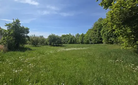 Prodej stavebního pozemku 961 m², Maršovice, okres Benešov