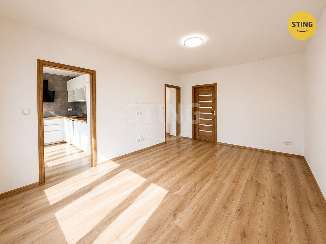 Pronájem bytu 2+1 55 m² - View 3