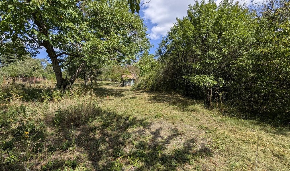 Prodej zahrady 463 m², Brno – náhled fotky 2