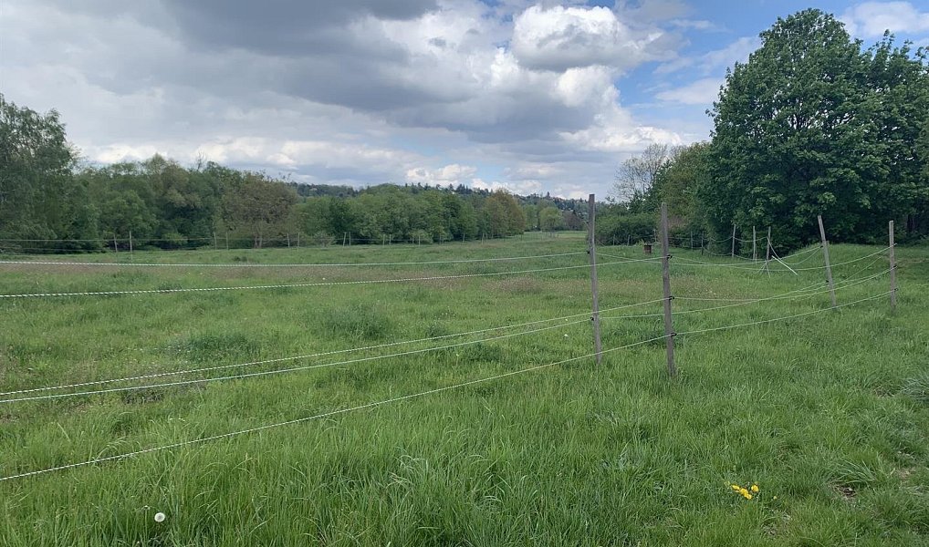 Prodej pozemku 48 982 m², Všenory – náhled fotky 5