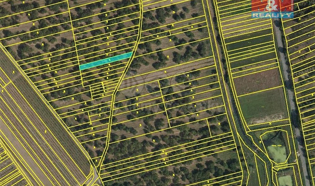 Prodej pole 5 779 m², Němčičky – náhled fotky 4
