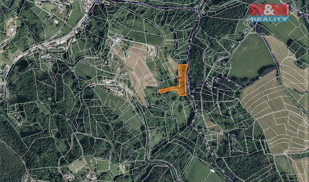 Prodej louky 6 562 m², Koberovy – náhled fotky 4