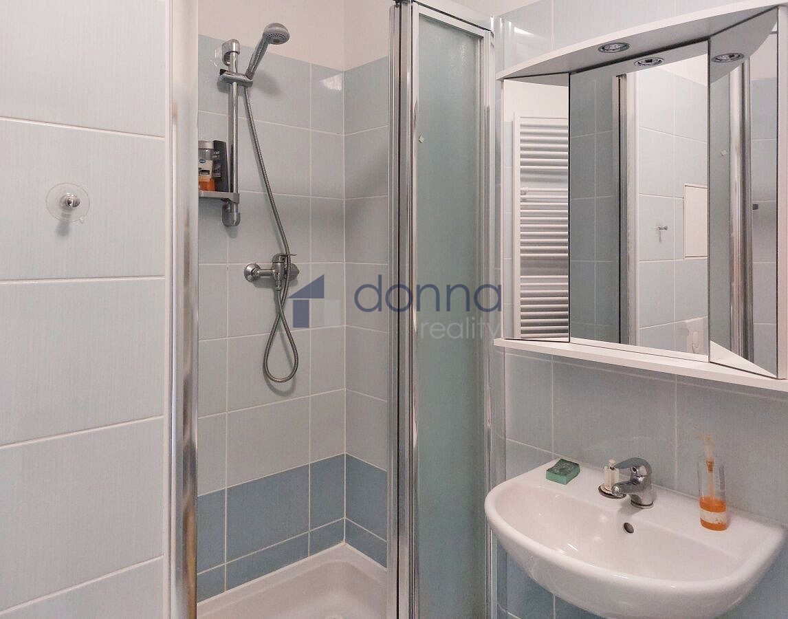 Pronájem bytu 1+kk 32 m² – fotografie 3