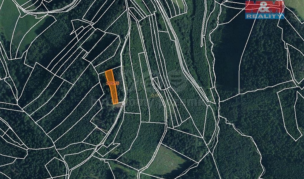 Prodej lesa 1 205 m², Lhota u Vsetína – náhled fotky 3