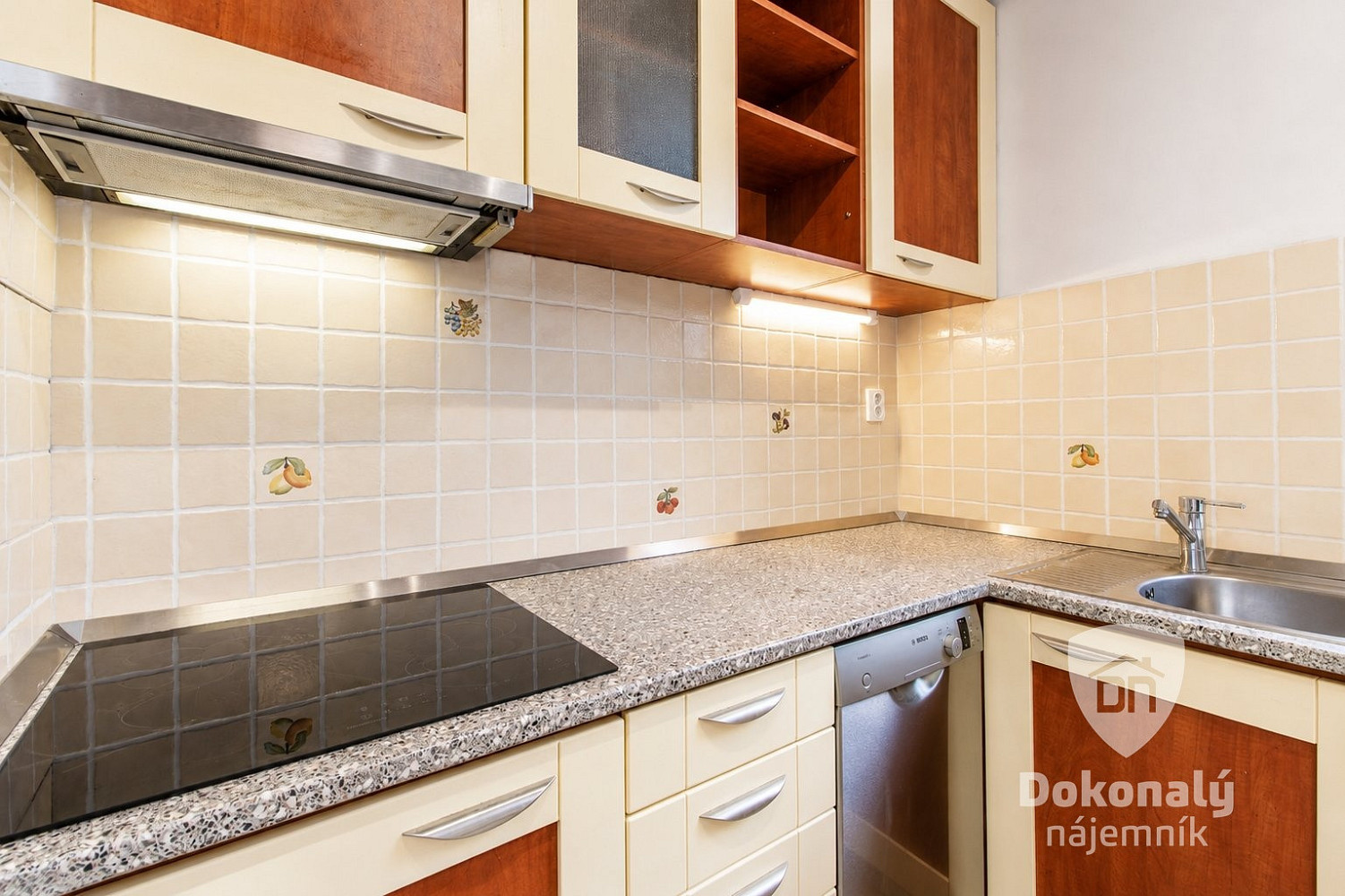 Pronájem bytu 1+kk 50 m² - Widok 6