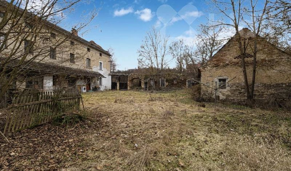 Prodej domu 950 m² s pozemkem 24 944 m², Jankov – náhled fotky 7