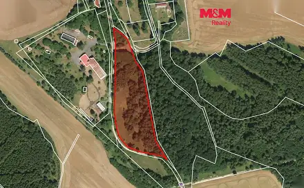 Prodej pozemku 19 037 m², Lipová - Mýtina, okres Cheb