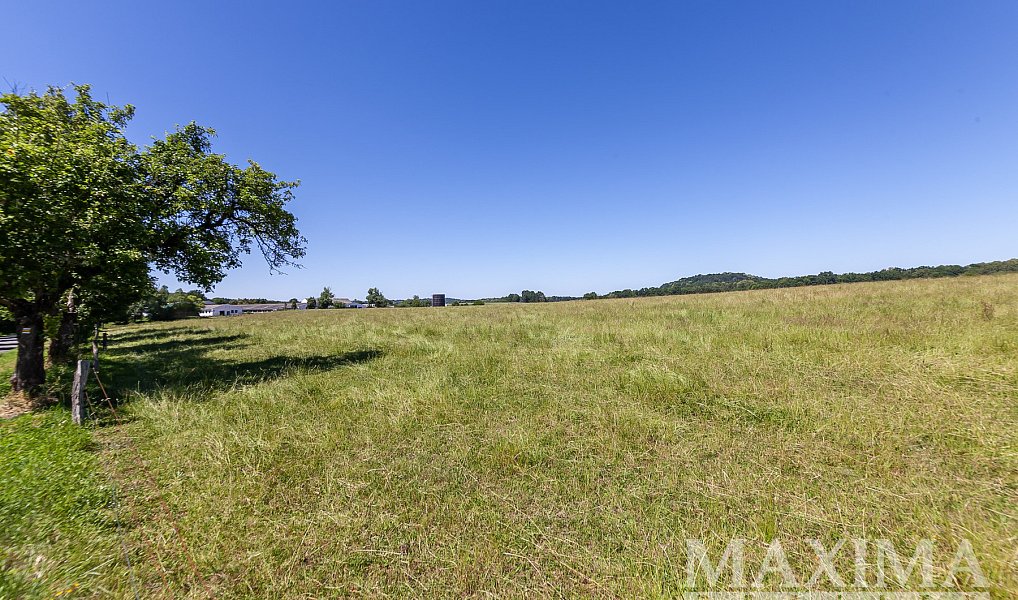 Prodej pole 10 156 m², Višňová – náhled fotky 15