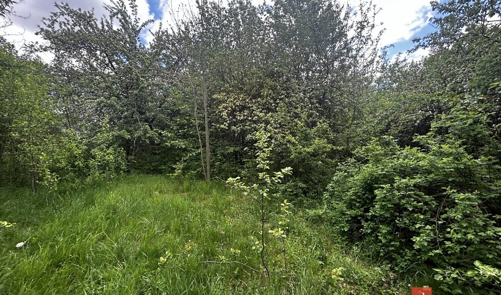 Prodej stavebního pozemku 1 588 m², Malinová – náhled fotky 12