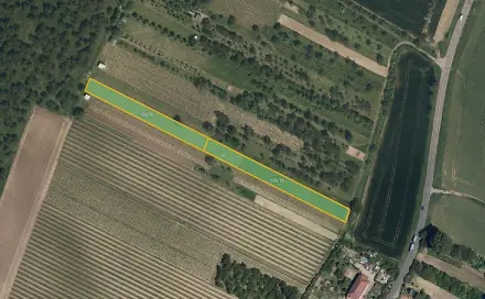 Prodej pole 5 062 m², Svatobořice-Mistřín - Svatobořice, okres Hodonín