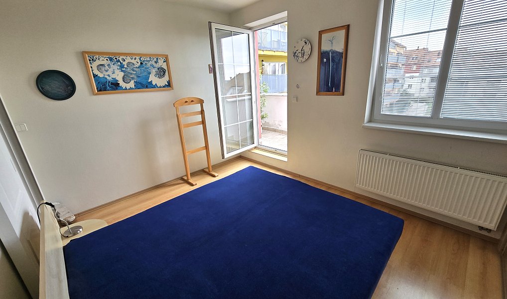 Pronájem bytu 3+kk 90 m², Brno – náhled fotky 13
