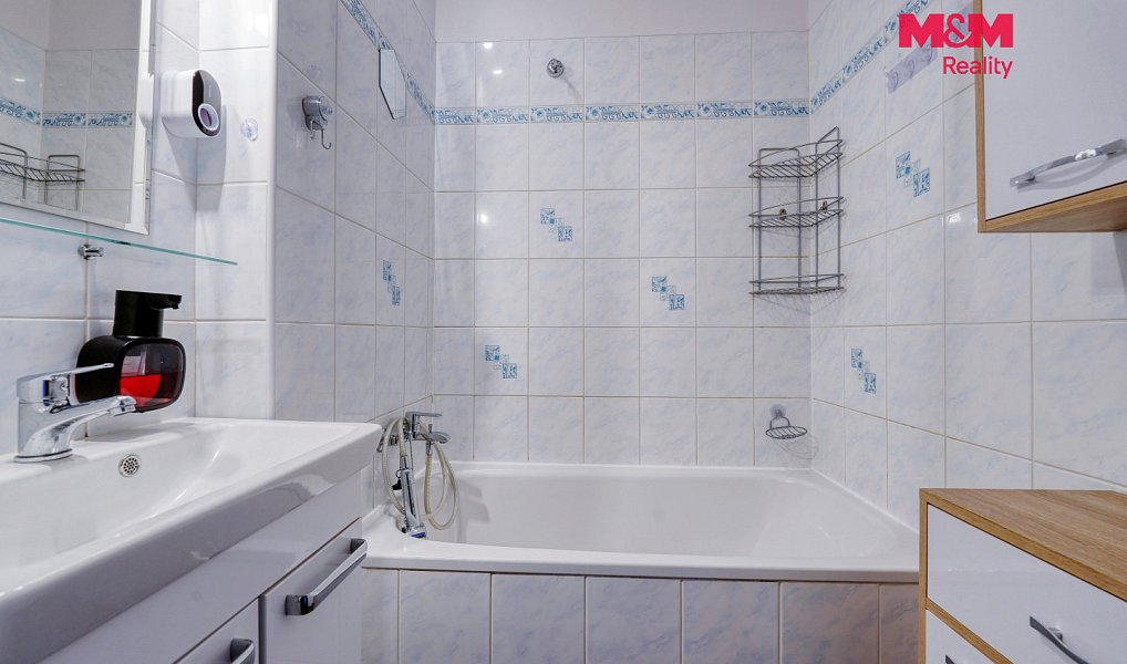 Prodej domu 343 m² s pozemkem 268 m², Plzeň – náhled fotky 9
