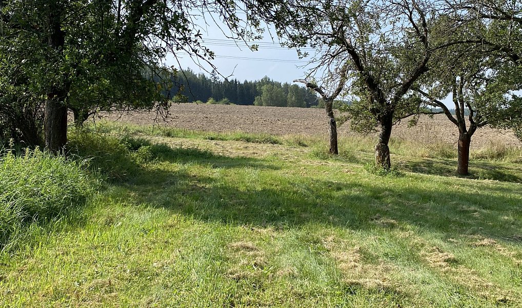 Prodej stavebního pozemku 3 359 m², Petrovice – náhled fotky 4