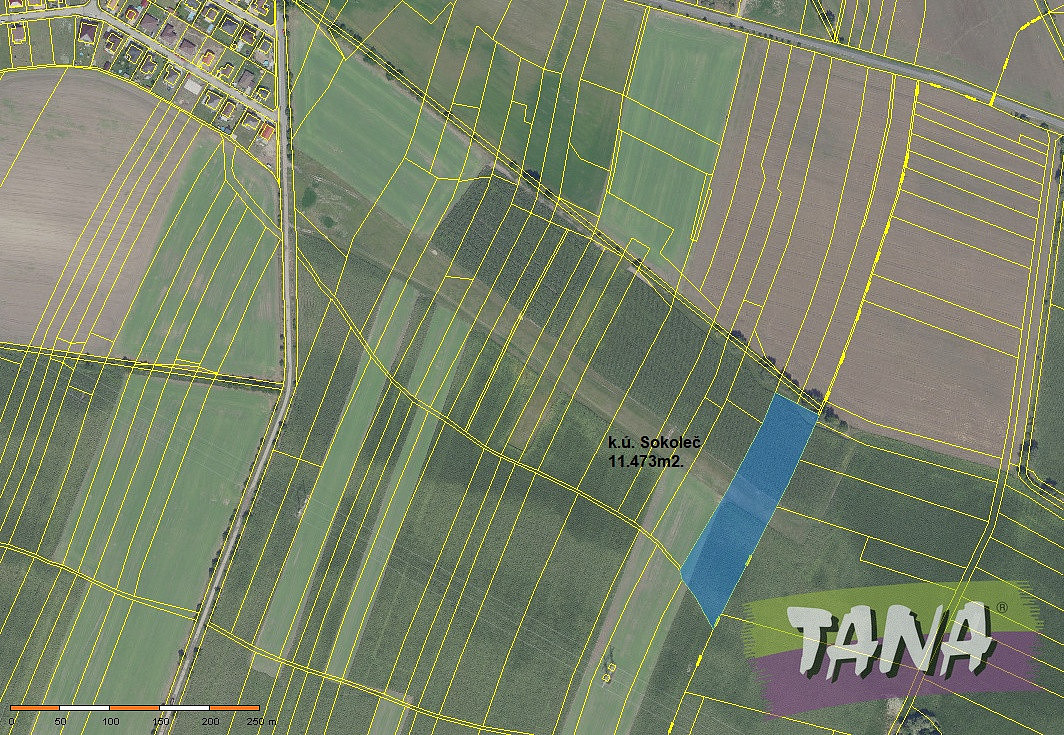 Prodej pole 21 182 m² – fotografie 2