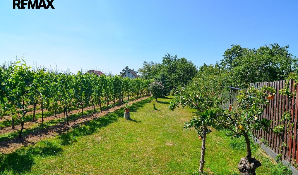 Prodej zahrady 997 m², Mikulov – náhled fotky 6