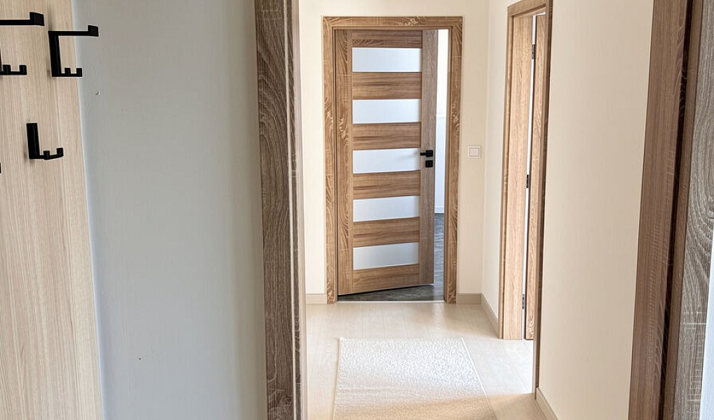 Pronájem bytu 2+1 54 m², Ostrava – náhled fotky 7