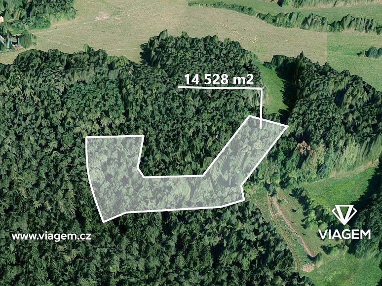 Prodej lesa 2 075 m²