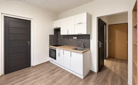 Pronájem bytu 1+1 37 m²
