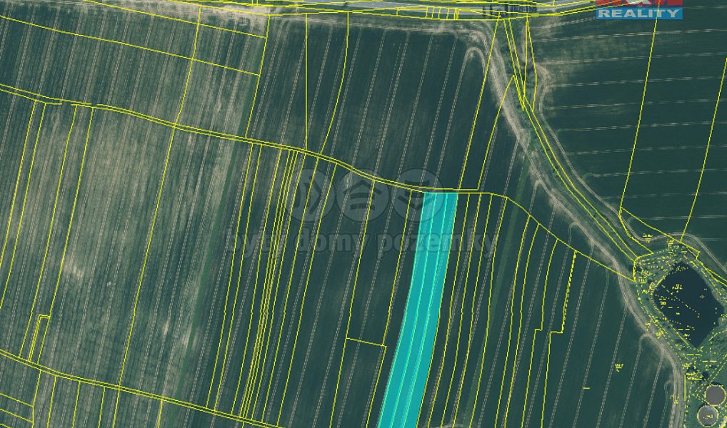 Prodej pole 19 549 m², Dobřany – náhled fotky 4