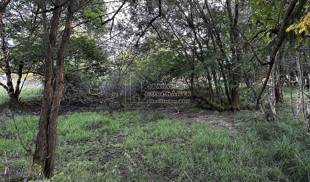 Prodej stavebního pozemku 4 929 m², Nová Ves – náhled fotky 9