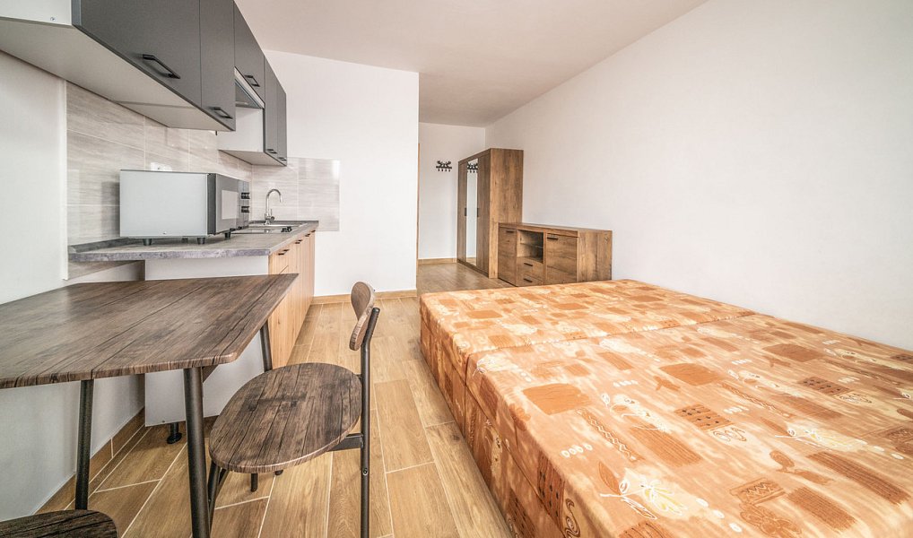 Pronájem bytu 1+kk 25 m², Ústí nad Labem – náhled fotky 6