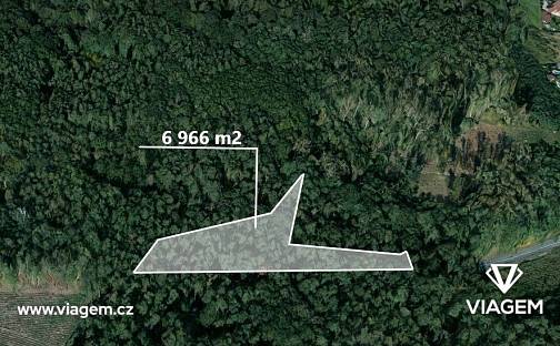 Prodej lesa 3 483 m², Dašice, okres Pardubice
