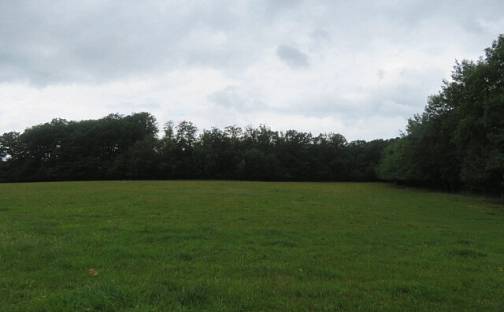 Dražba lesa 23 811 m², Hrabišín