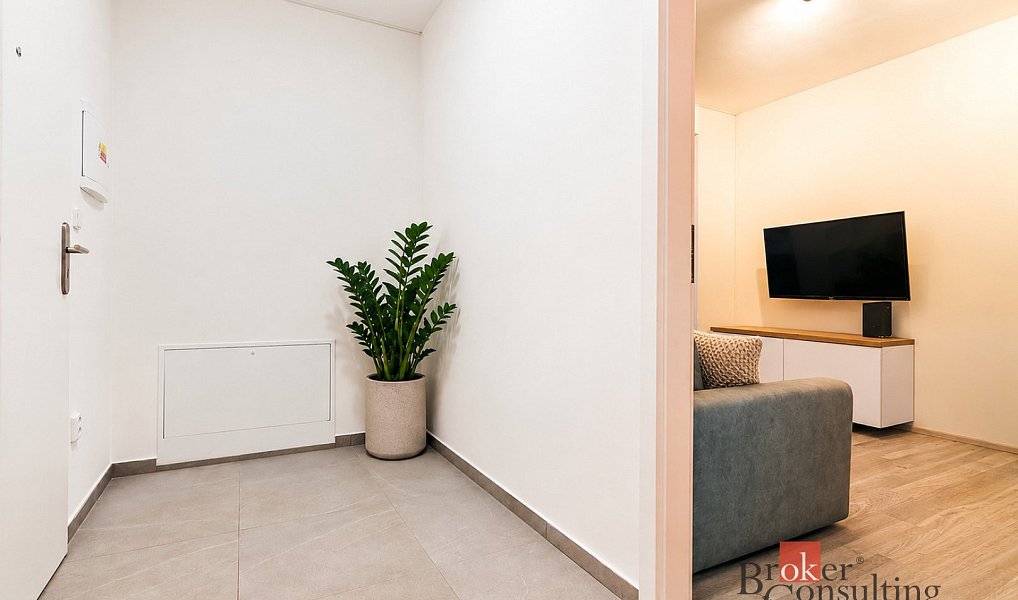Prodej bytu 1+kk 42 m², Brno – náhled fotky 8