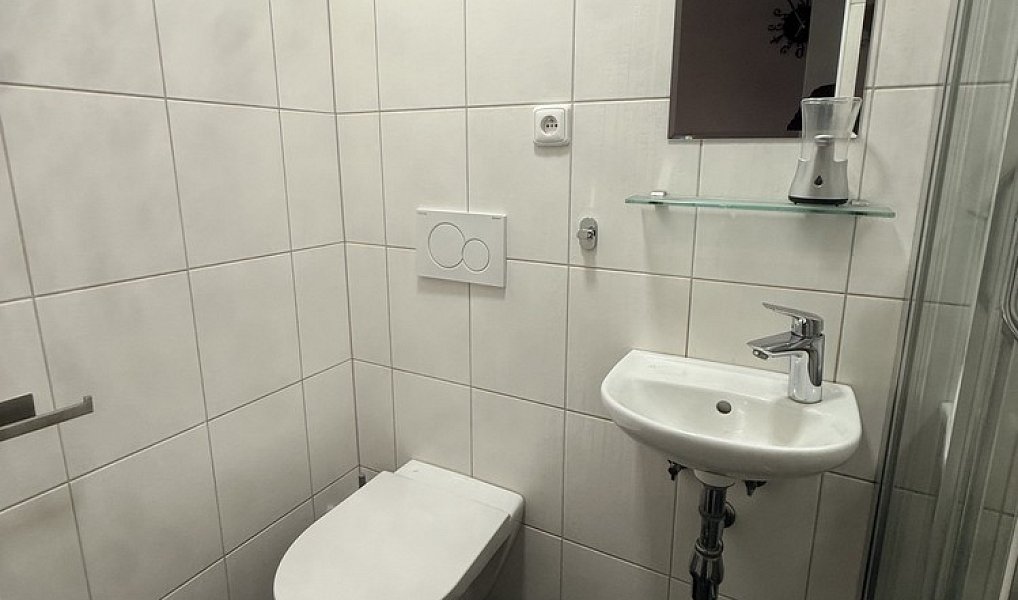 Pronájem domu 50 m² s pozemkem 260 m², Vejprnice – náhled fotky 5
