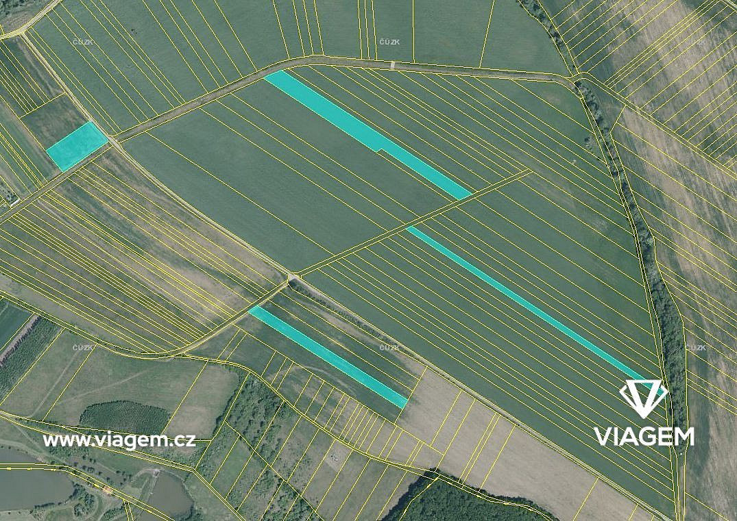 Prodej pole 6 436 m² – fotografie 3
