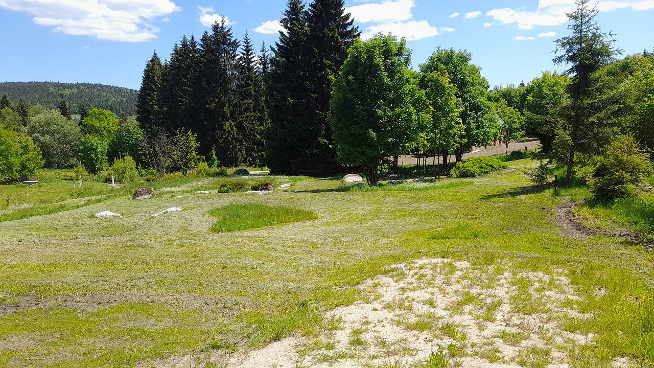 Prodej stavebního pozemku 2 313 m² – fotografie 5