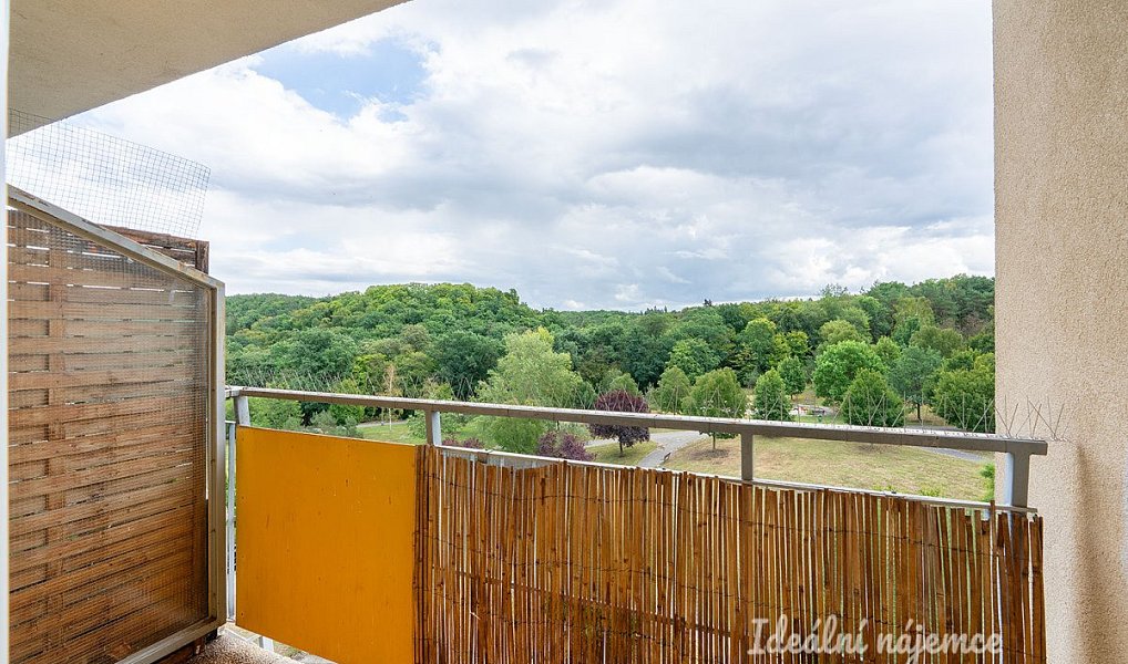 Pronájem bytu 2+kk 52 m², Praha – náhled fotky 13