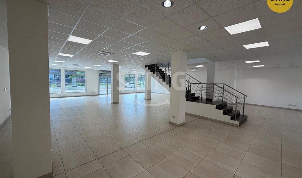 Pronájem obchodních prostor 350 m², Ostrava – náhled fotky 8