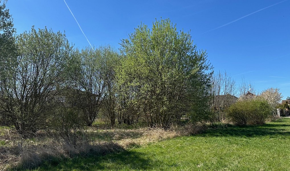 Prodej stavebního pozemku 1 669 m², Úhonice – náhled fotky 3