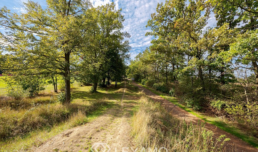 Prodej pole 5 903 m², Prace – náhled fotky 3