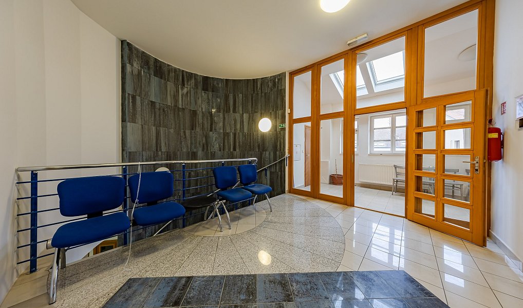 Prodej obchodních prostor 992 m², Uherské Hradiště – náhled fotky 9