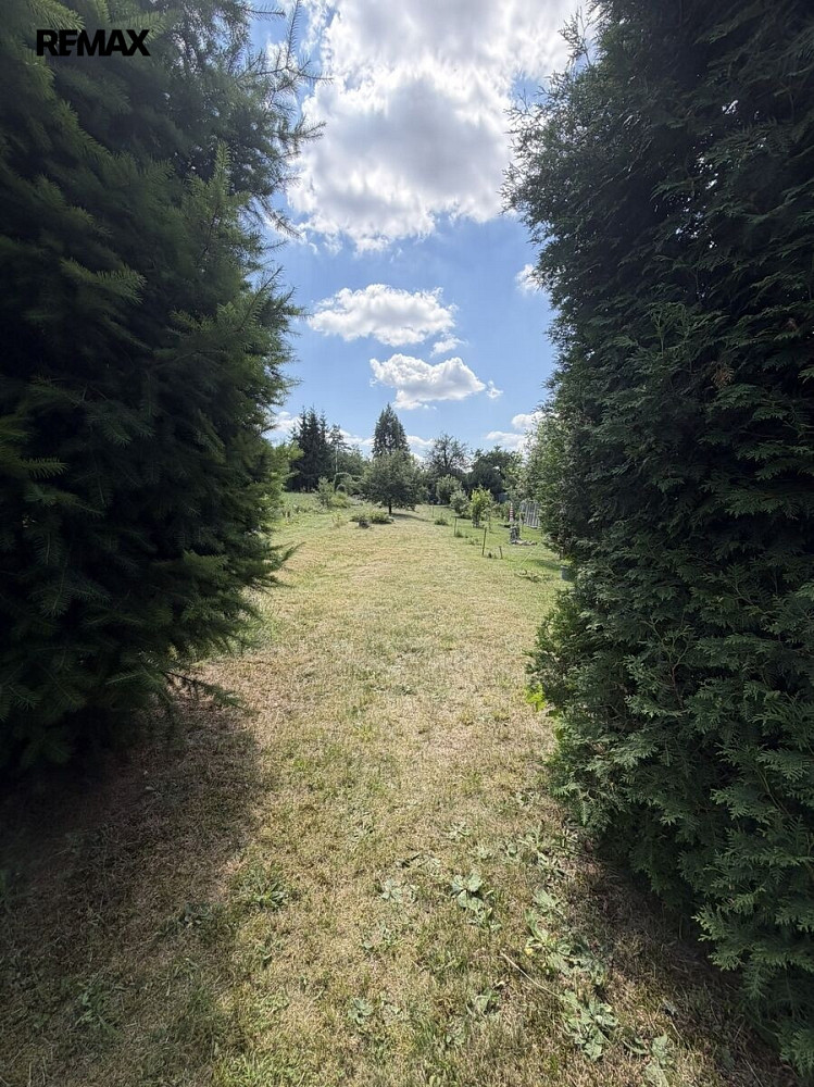 Fotka 11 z 19