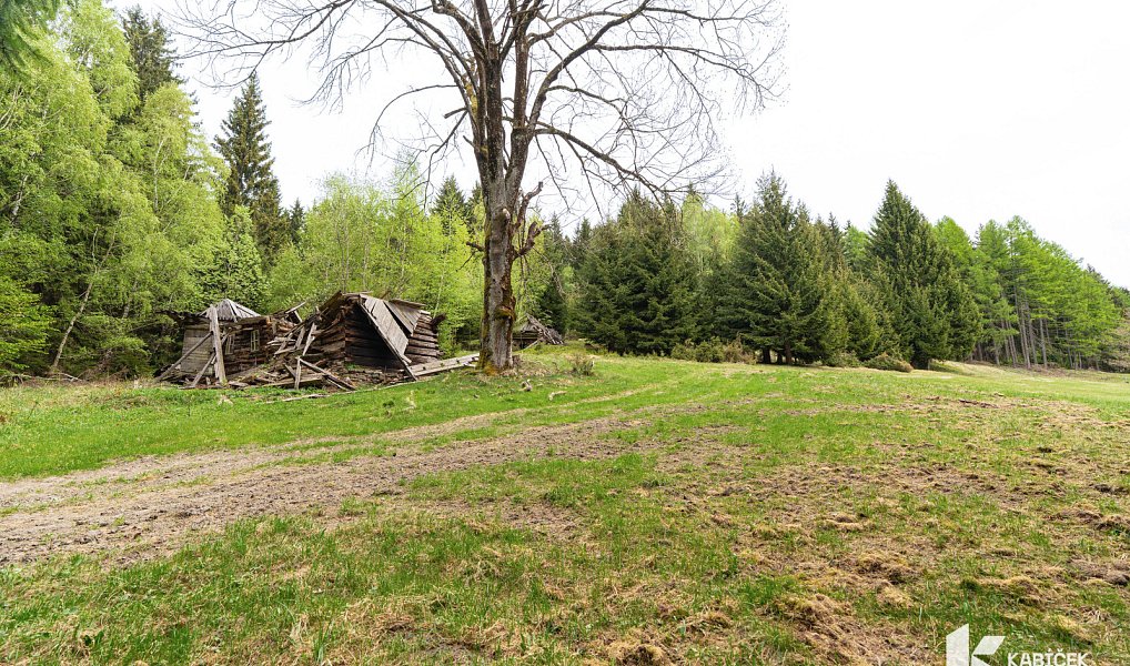 Prodej chaty/chalupy 94 m² s pozemkem 934 m², Velké Karlovice – náhled fotky 6