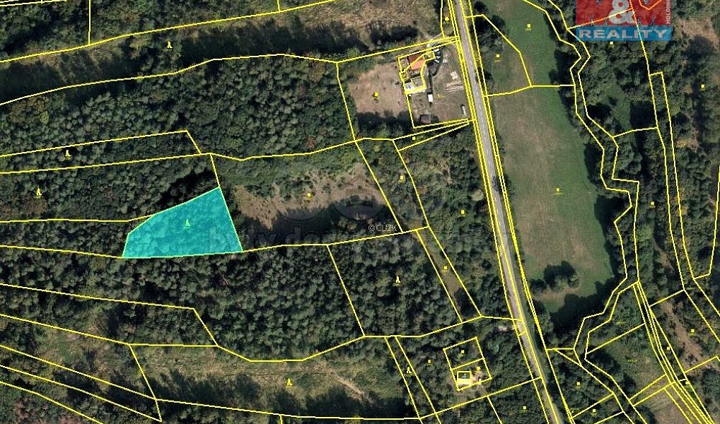 Prodej lesa 2 841 m², Ludkovice – náhled fotky 3