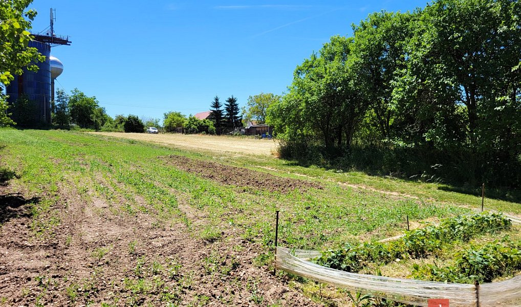 Prodej stavebního pozemku 1 399 m², Chrášťany – náhled fotky 5