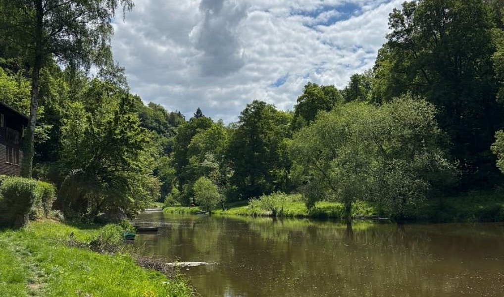 Prodej chaty/chalupy 29 m² s pozemkem 60 m², Jílové u Prahy – náhled fotky 16